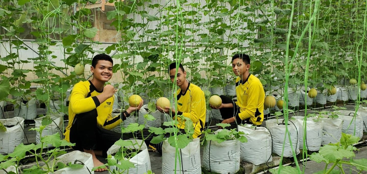 Green House