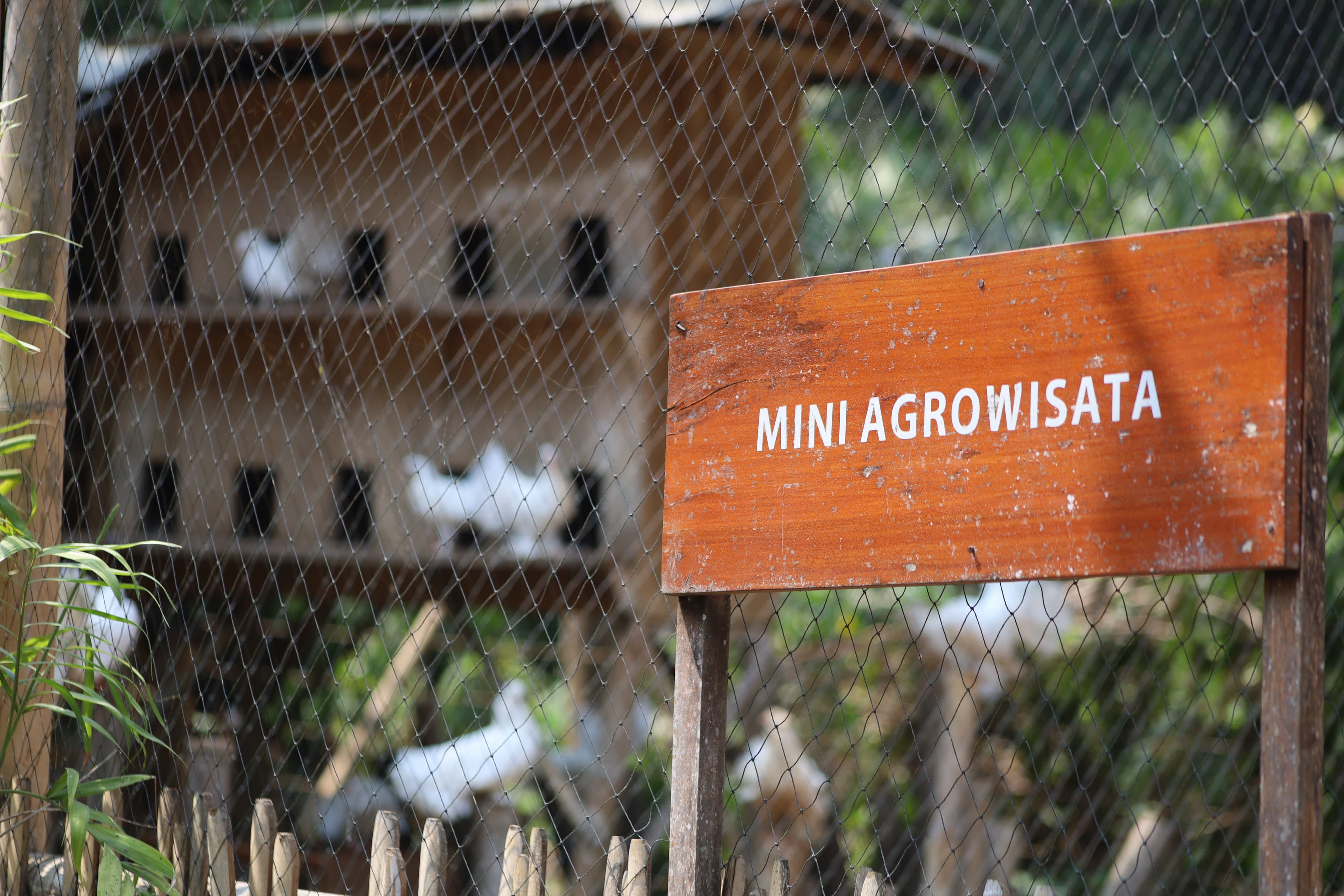 Mini Zoo